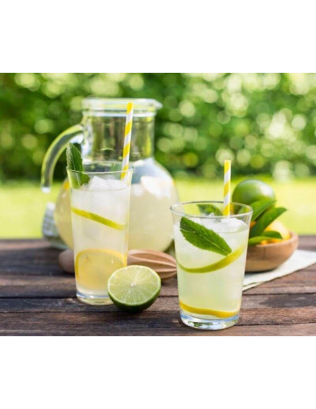 Exprimidor Ariete 41305, VINTAGE AZUL - 8 Exprimidor Ariete 41305, VINTAGE AZUL - 8