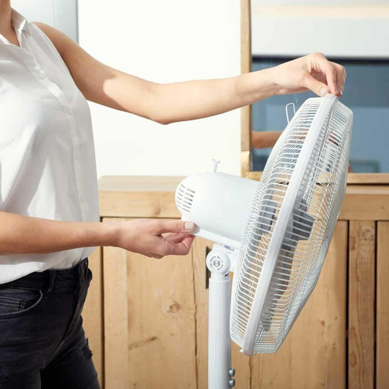 Ventilador pie Black&Decker BXEFP60E - 4 Ventilador pie Black&Decker BXEFP60E - 4