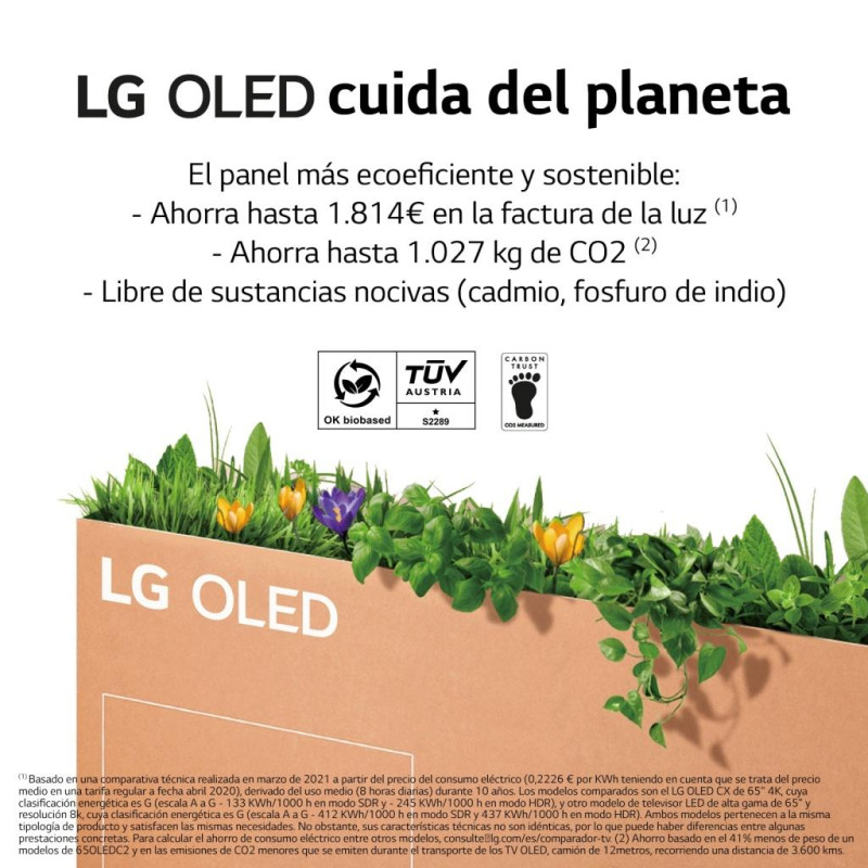 TV OLED LG OLED65G26LA - 12