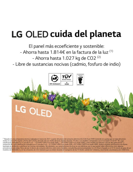 TV OLED LG OLED65G26LA - 12