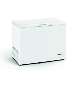 Congelador horizontal Edesa EZH3011A - 1