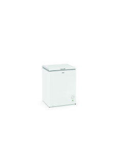 Congelador horizontal Edesa EZH1011C - 1