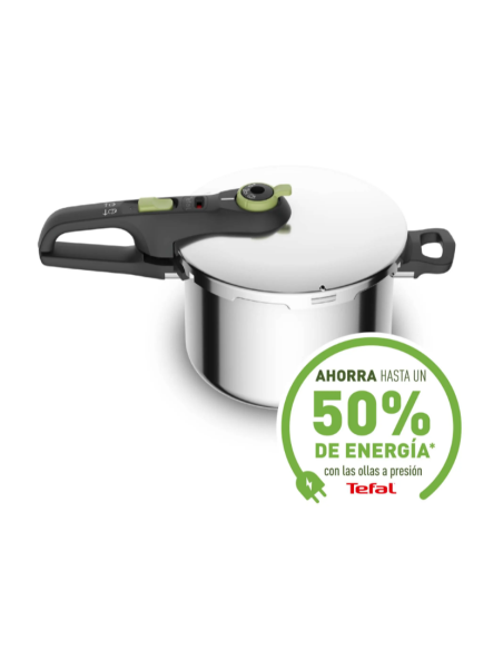 Olla Tefal P2580703, Secure Trendy 6 l