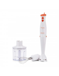 BATIDORA VARILLA ARIETE 885