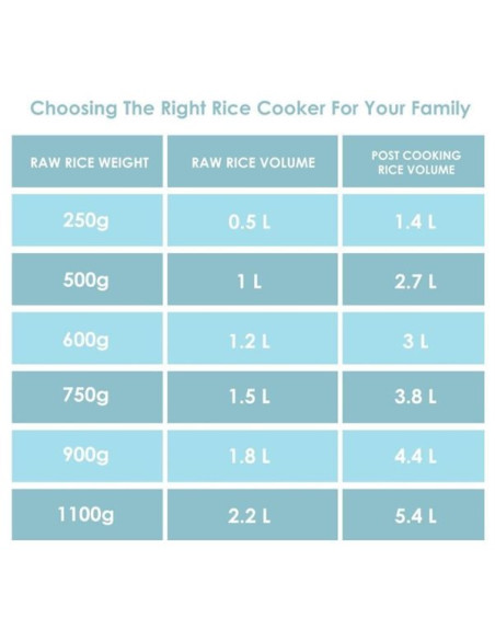 ARROCERA RUSSELL HOBBS 1975056