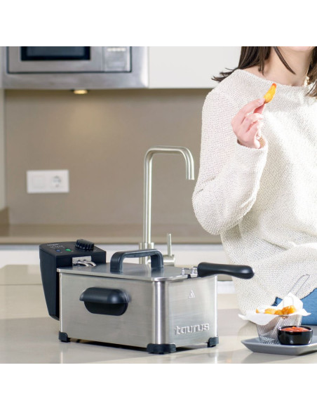 Freidora Taurus Fry 3