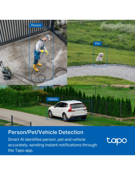 TP-Link Tapo TC43(EU) V2 Esférico Cámara de seguridad IP Interior y exterior 2880 x 1620 Pixeles Techo/Pared/Post