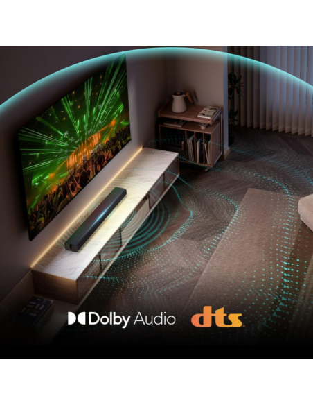 Hisense HS1000 Negro 2.0 canales 120