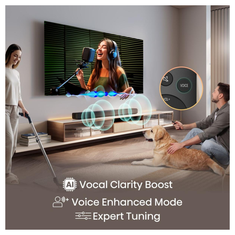 Hisense HS1000 Negro 2.0 canales 120