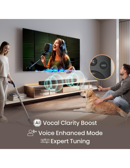 Hisense HS1000 Negro 2.0 canales 120