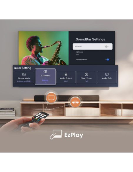 Hisense HS1000 Negro 2.0 canales 120