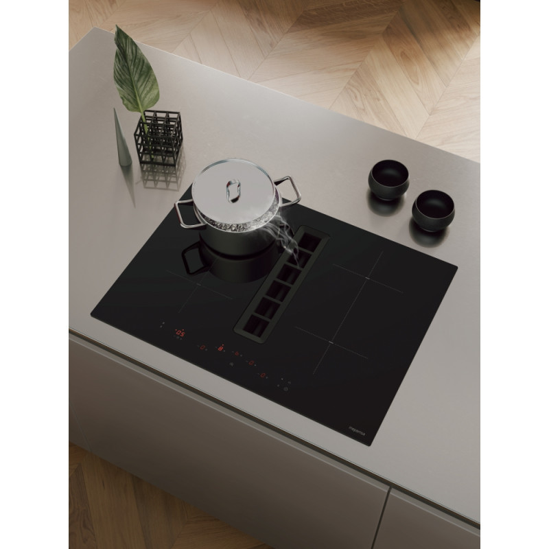 Vitroceramica inducion+extractor...