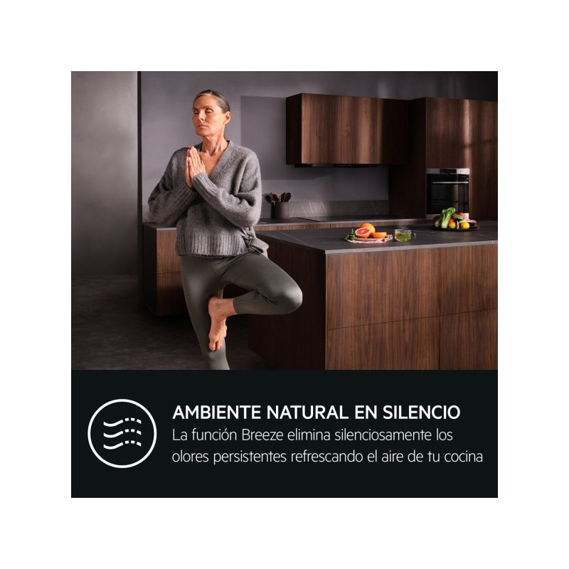 Campama decorativa Aeg GB87D91CB