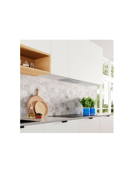 Campana conv. Grupo filtrante Balay 3BF356EX