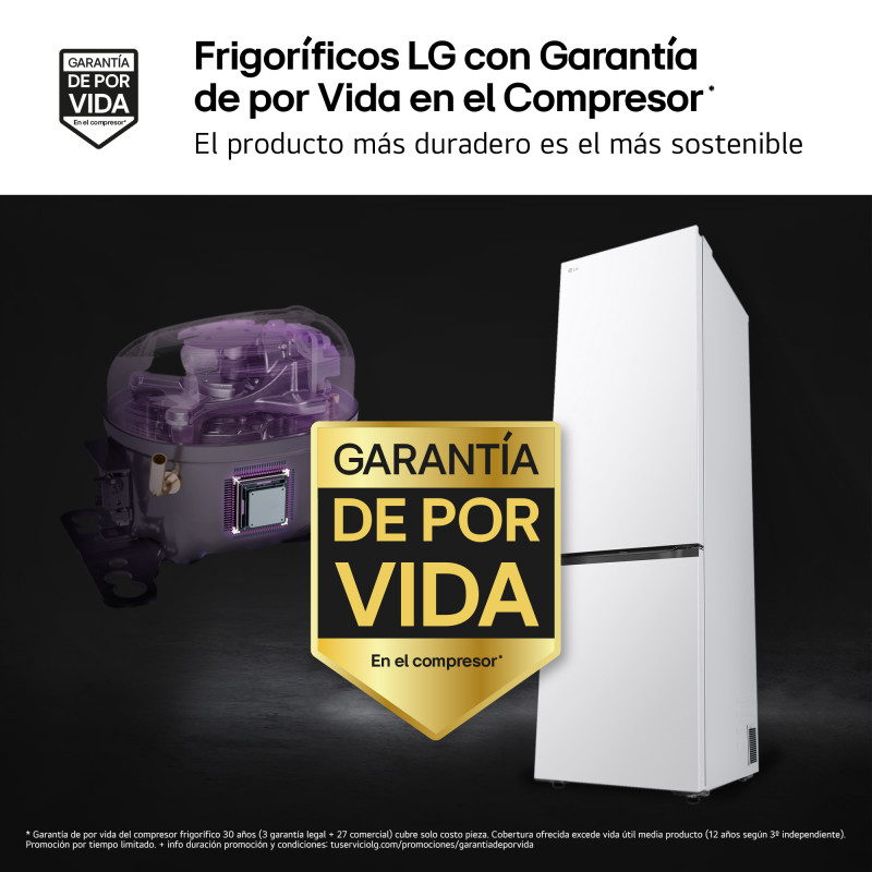 Combi NF Lg GBBS322CSW