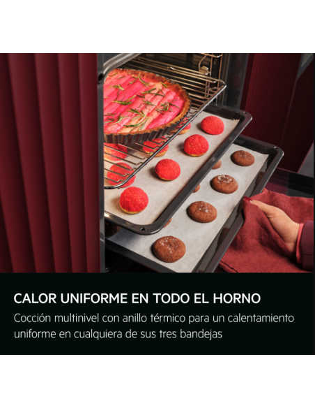 Horno MF pirolitico indep. Aeg TU5PB41ZPB