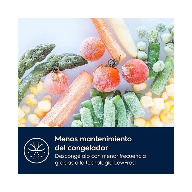 Combi INT Electrolux LNA6DE18S