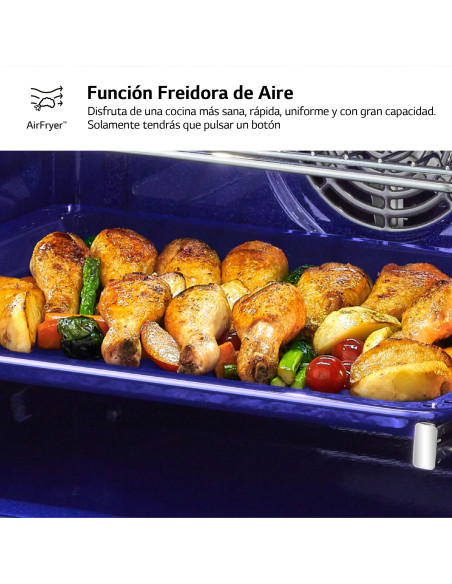 Horno MF pirolitico Lg WS9D7651WS