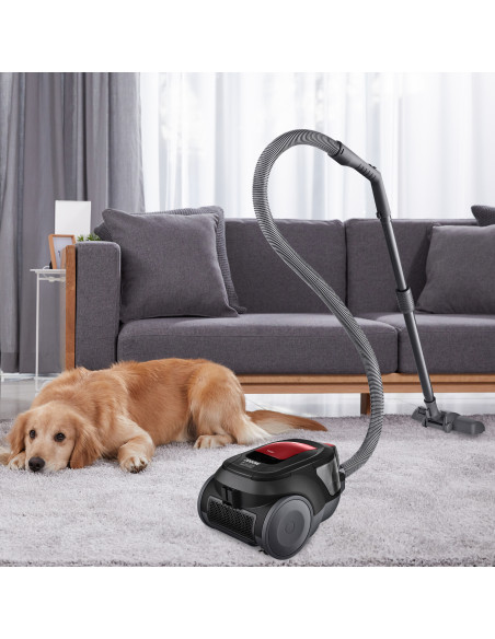 Aspirador sin bolsa Lg VC5506NHTCR