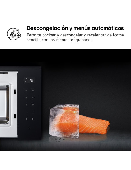Microondas INT Lg MGBZ2593F