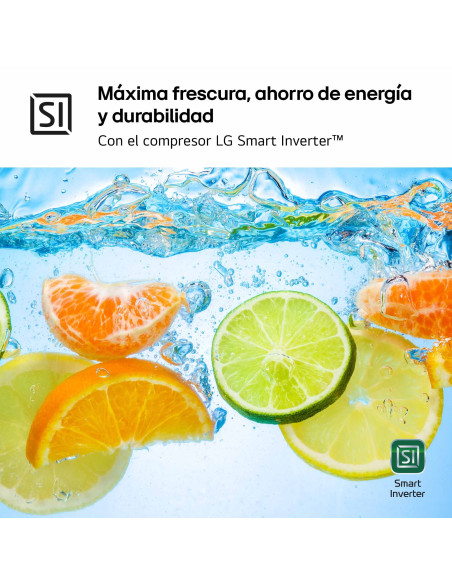 Frigorifico side by side Lg GSBC40SWPE