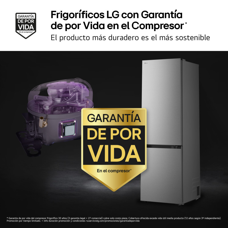 Combi NF Lg GBBSJ20DPY