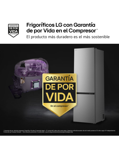 Combi NF Lg GBBSJ20DPY