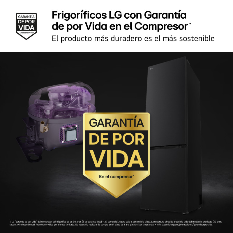 Combi NF Lg GBBSJ20EEP