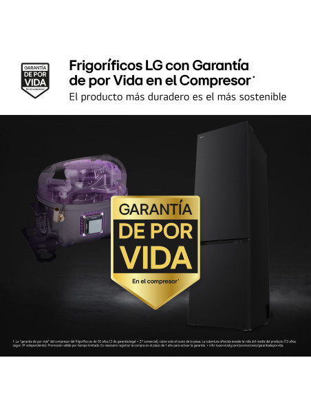Combi NF Lg GBBSJ20EEP
