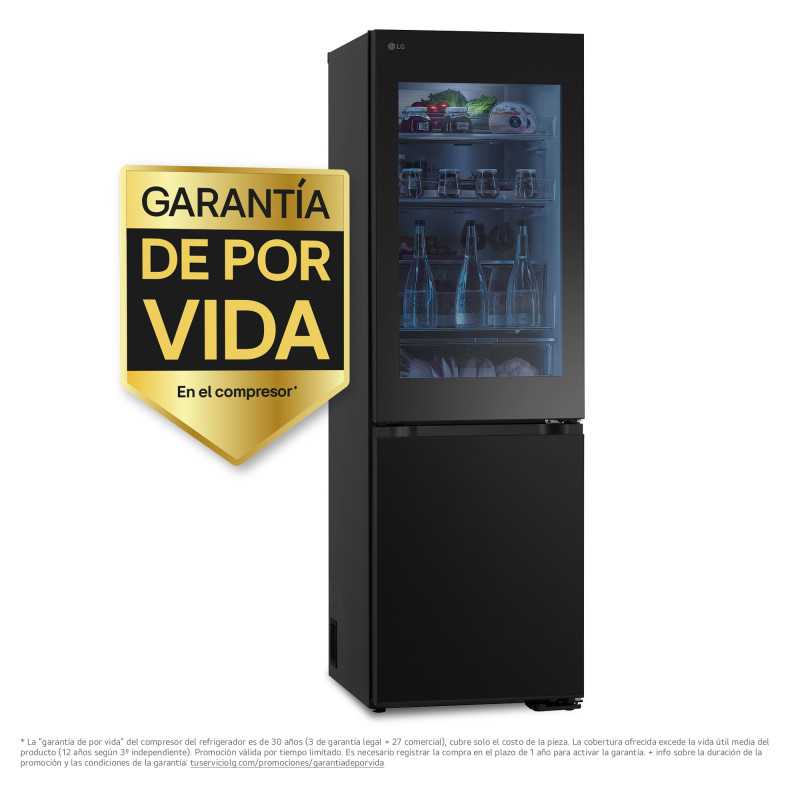 Combi NF Lg GBG5160CEV