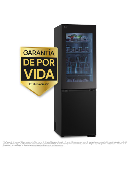 Combi NF Lg GBG5160CEV