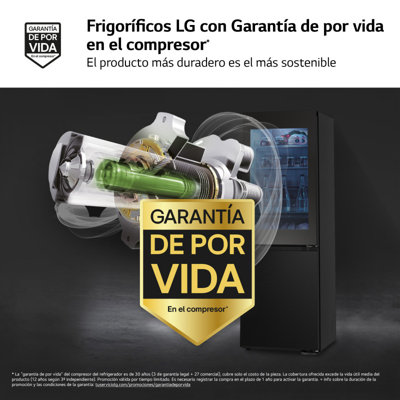Combi NF Lg GBG5160CEV