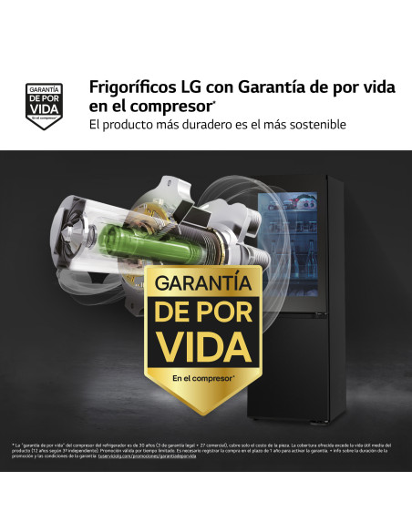 Combi NF Lg GBG5160CEV