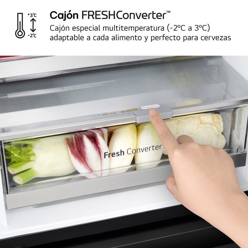 Combi NF Lg GBG5160CEV