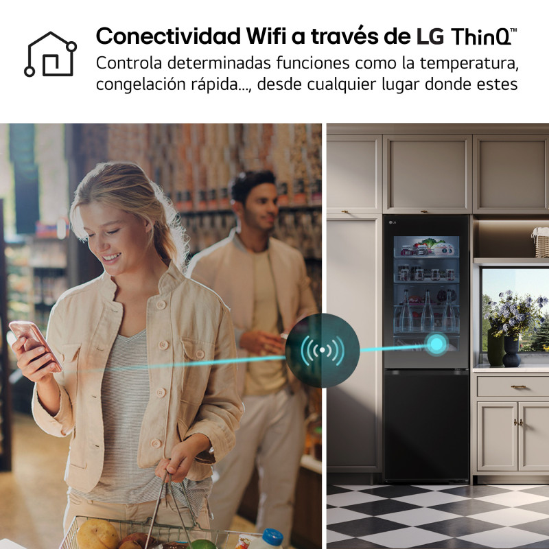 Combi NF Lg GBG5160CEV