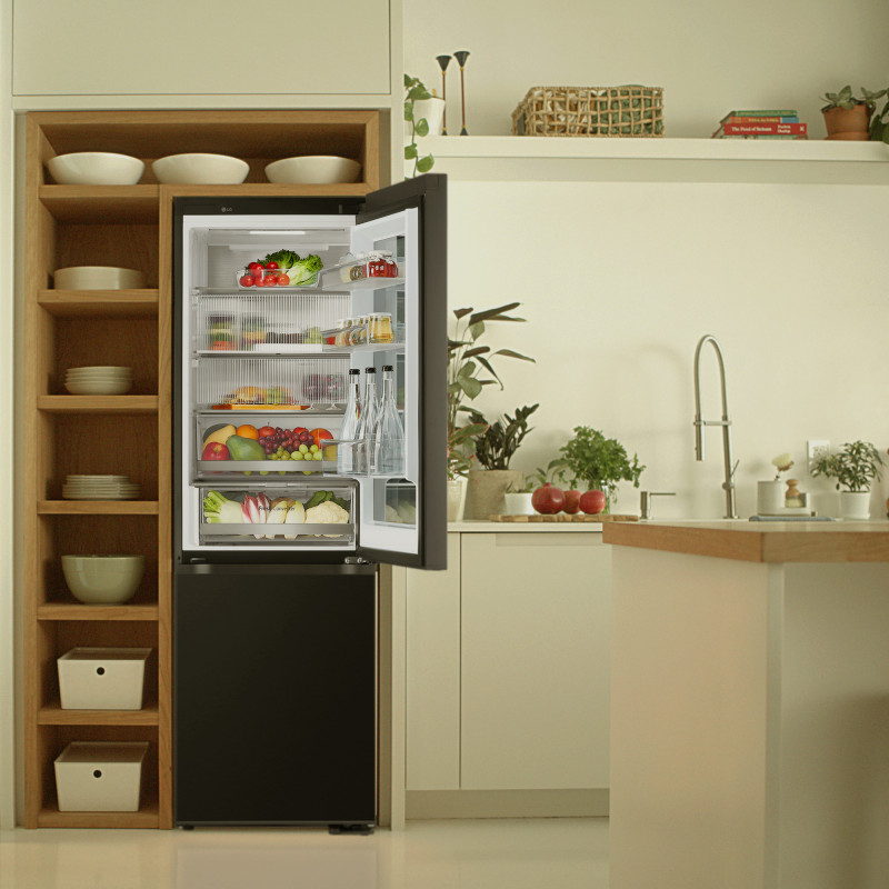 Combi NF Lg GBG5160CEV