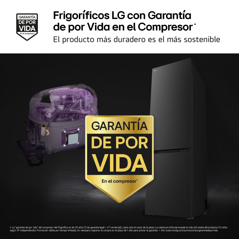Combi NF Lg GBG5160CPY