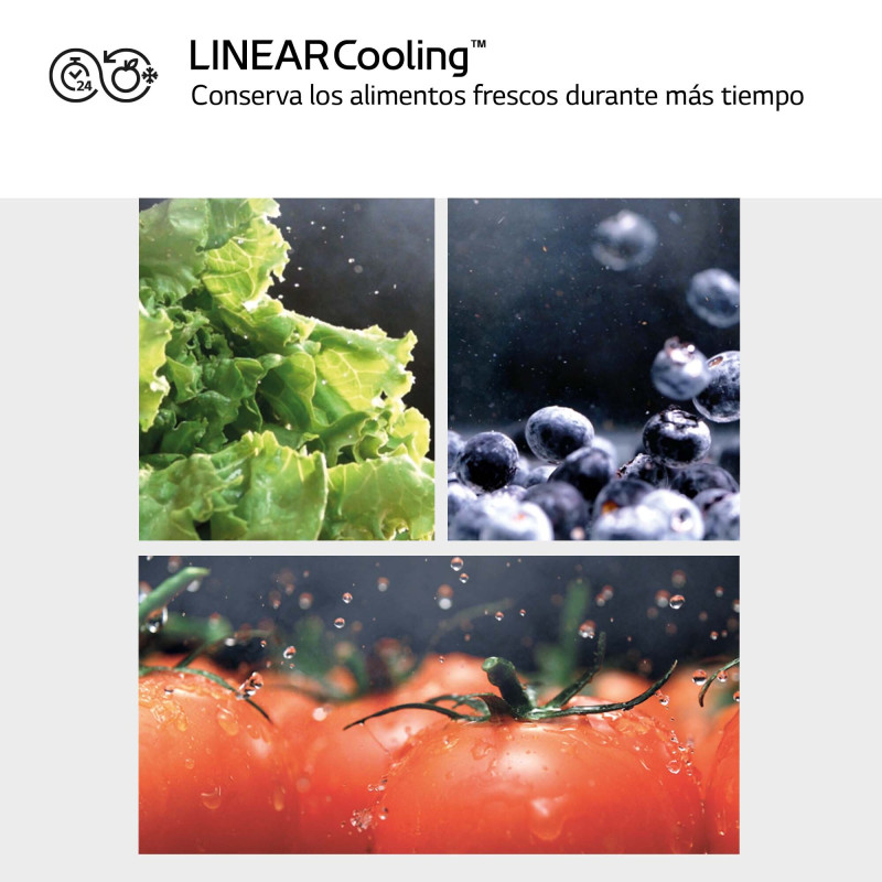 Congelador vertical NF Lg GFM61MCCSF Congelador vertical NF Lg GFM61MCCSF
