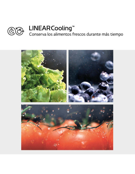 Congelador vertical NF Lg GFM61MCCSF