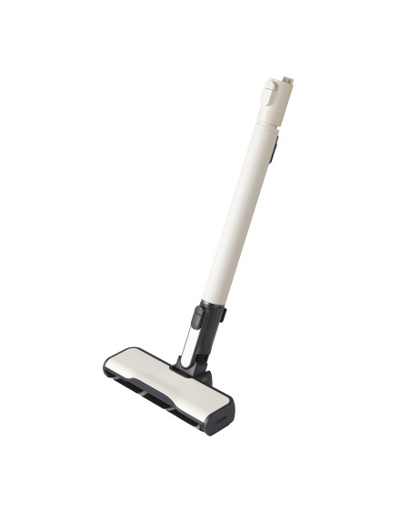 Aspirador escoba Lg A9KLITE1C