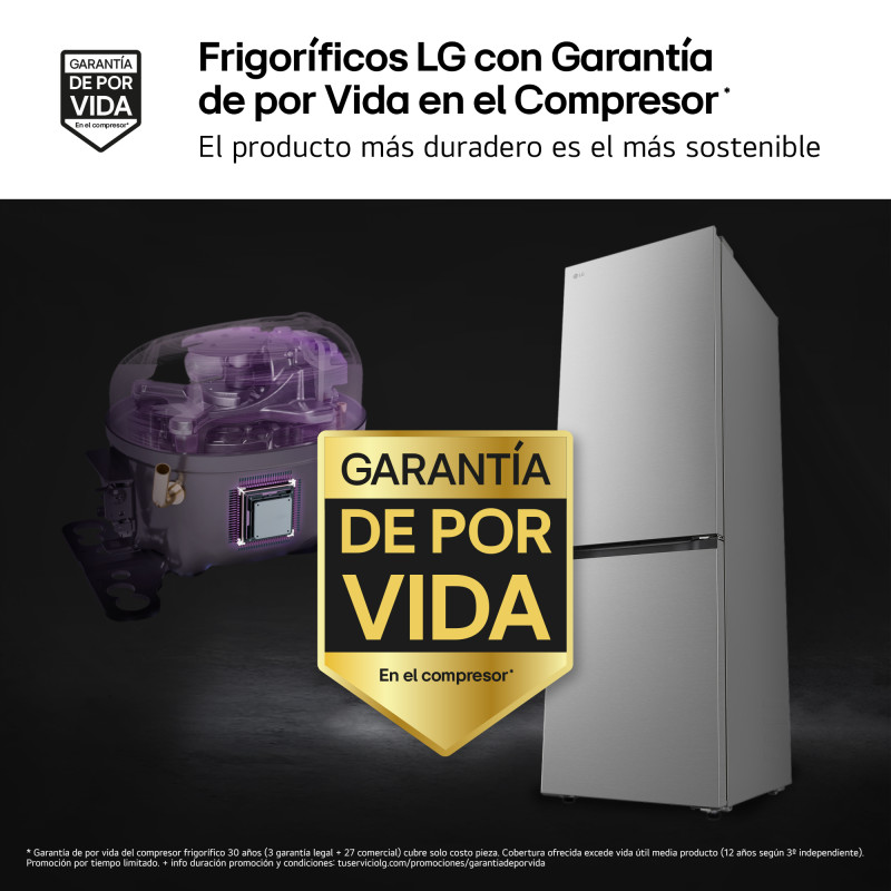 Combi NF Lg GBBS312CPY