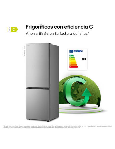 Combi NF Lg GBBS312CPY