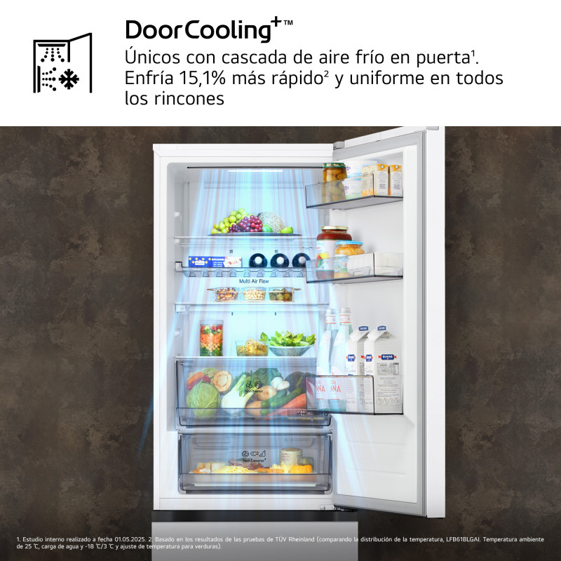 Combi NF Lg GBBS312CSW