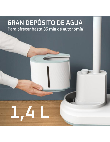 Cepillo vapor ropa Rowenta IS3280D1