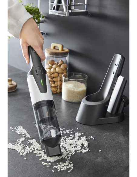 Aspirador mano Rowenta AC9736WO