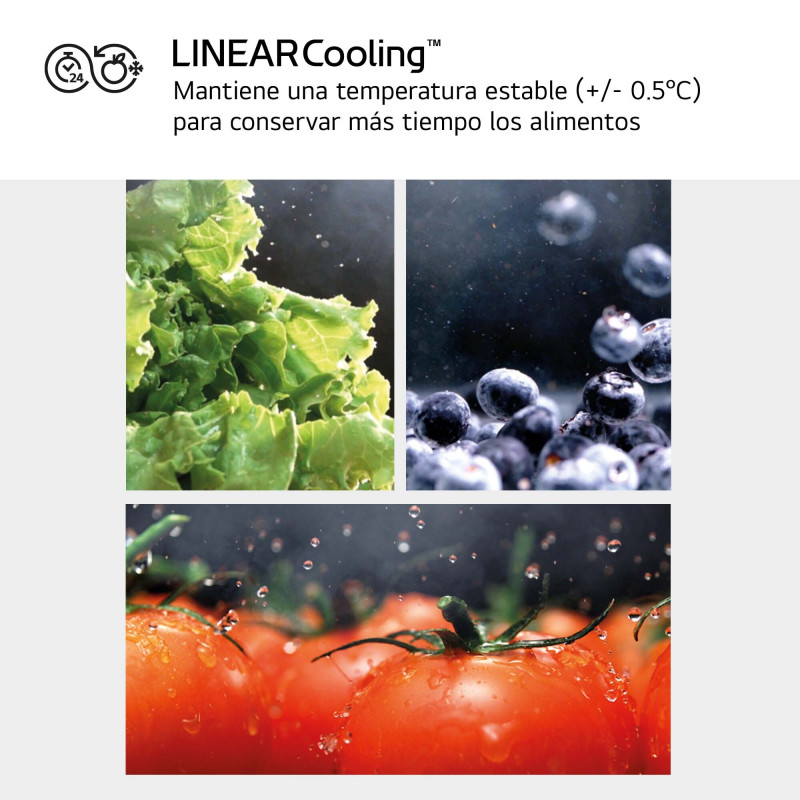 Frigorifico side by side Lg GML860PYFE